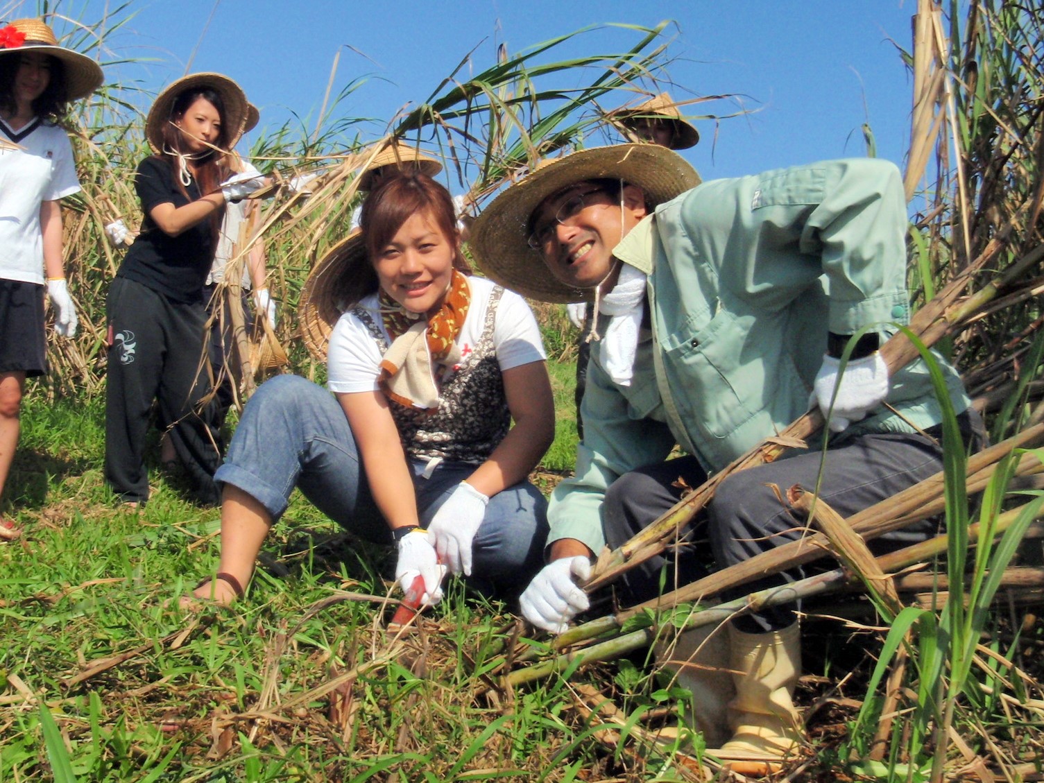 オノやカマを使って収穫した刈りたてのサトウキビをかじってみると、その甘さに驚き!
