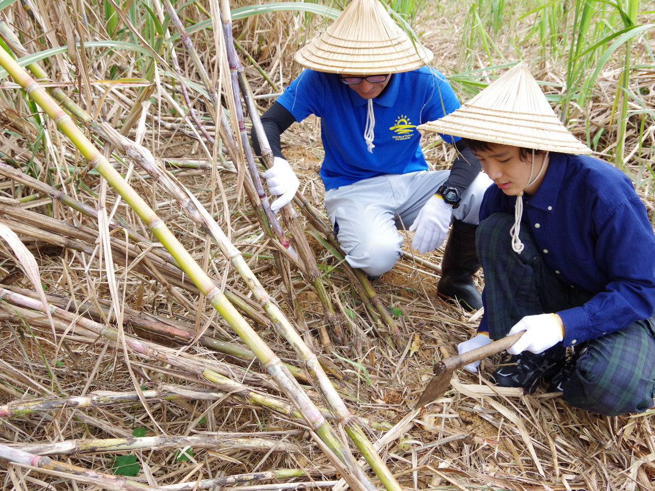 S΍ob`sȂ用̍Ƃi߂܂B