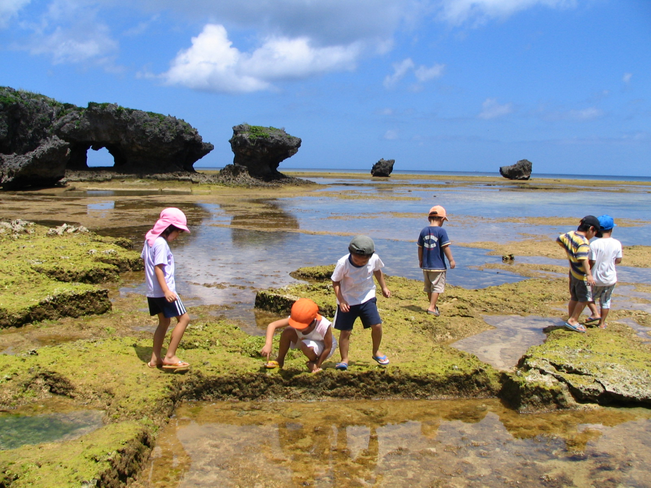 干潮時は海辺の生き物もたくさん。好奇心を刺激する探検に出発!