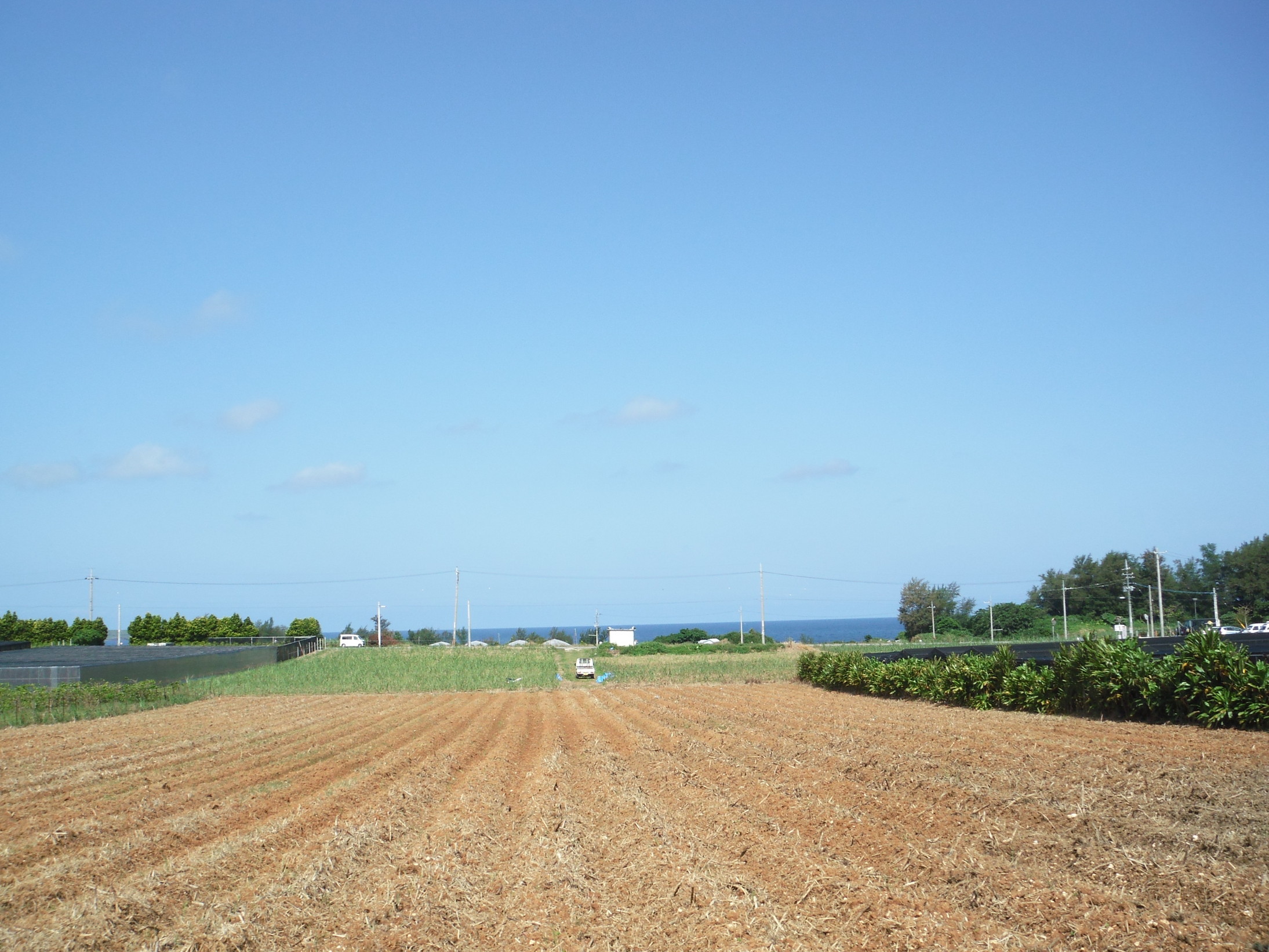 �L��ȃT�g�E�L�r���Ń��t���b�V��