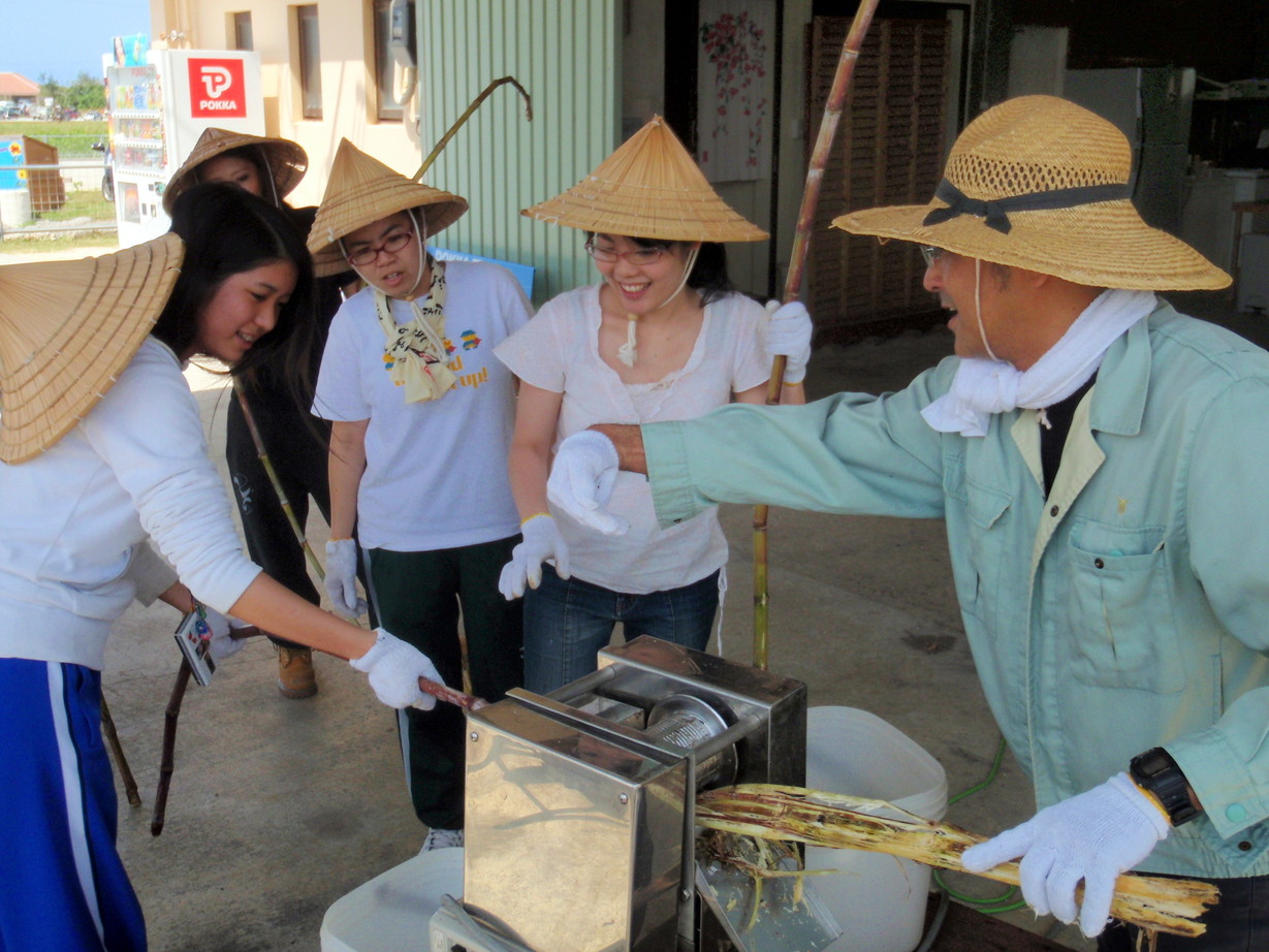 �T�g�E�L�r�����ڂ�M�d�ȑ̌��I