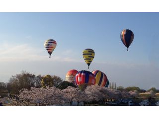 栃木県 渡良瀬遊水地エリアで熱気球フリーフライト体験 大空を散歩しよう スマイルバルーン じゃらん遊び体験 栃木県 渡良瀬遊水地エリアで熱気球フリーフライト体験 大空を散歩しよう スマイルバルーン じゃらん遊び体験