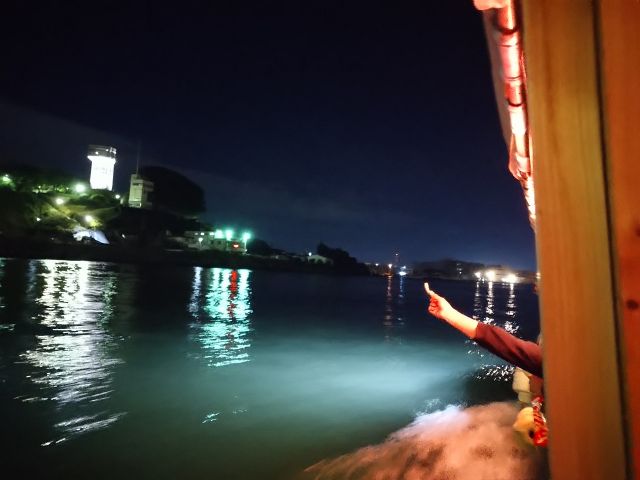 【夜のうみねこ餌付け体験風景】(舘鼻公園ぐれっとタワー前)餌付けも楽しいし夜景もきれい!タワーは夜9時までなので行ってみよう!