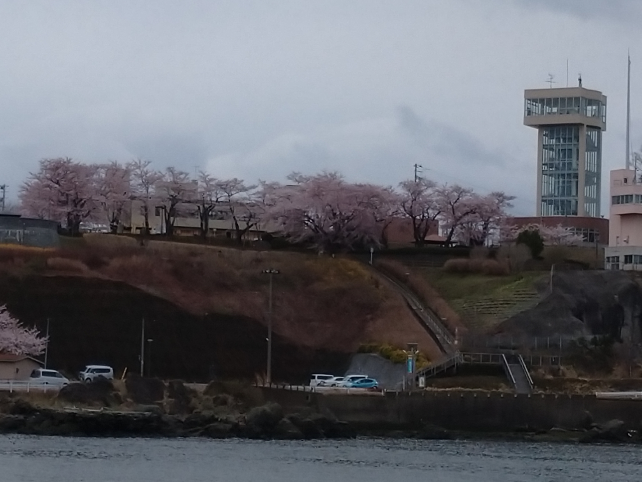 ˎs̍̕W{؂AĂڕ@̍؂ƃObg^[݂ȂƕiI