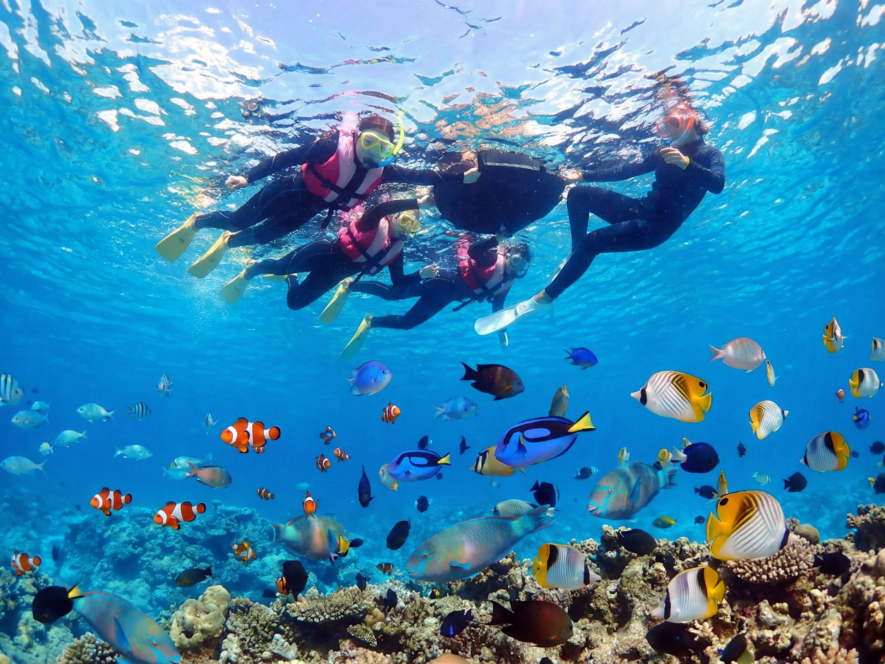 �̓��A�t�߁A�����ʐ^