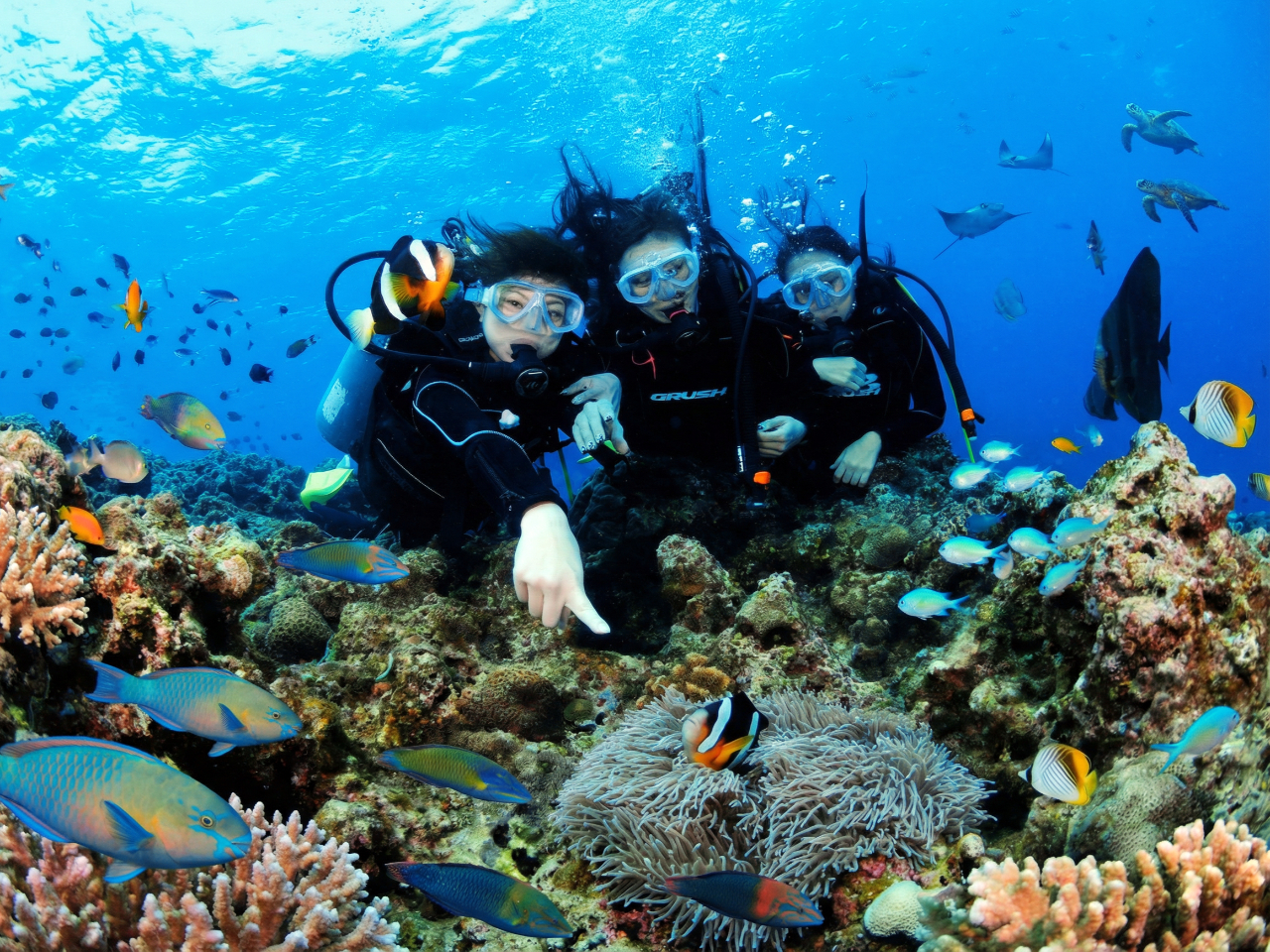 �l�C�̃N�}�m�~�������܂�