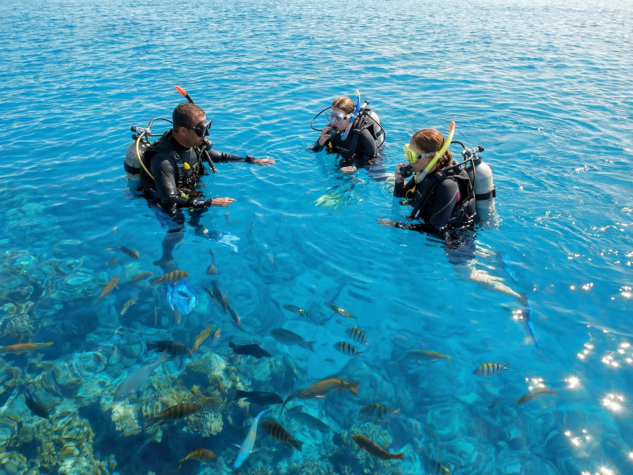 �󂢐��[�ŁA���ʂł���������K���܂�