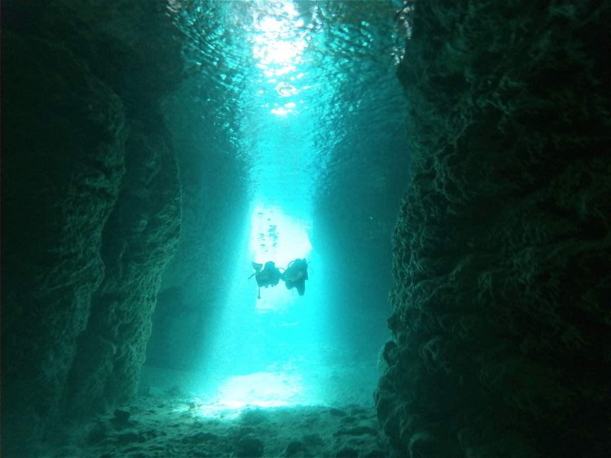 �y�̓��A �ē�����No.�P�A�Ís�m��No.�P�A���K�{��No.�P�z