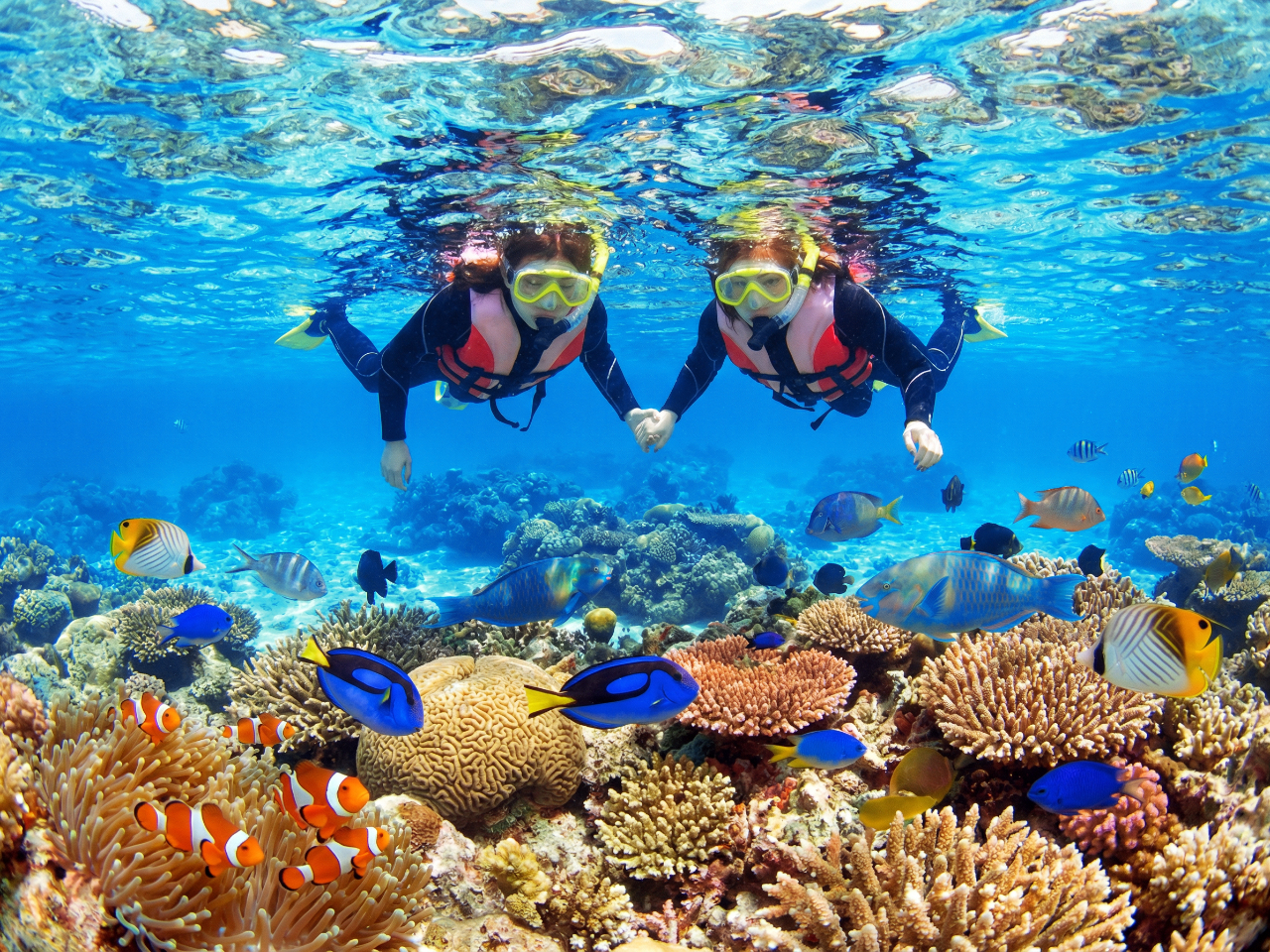 �V���m�[�P�����O�͂�������̋��ɏo��܂�