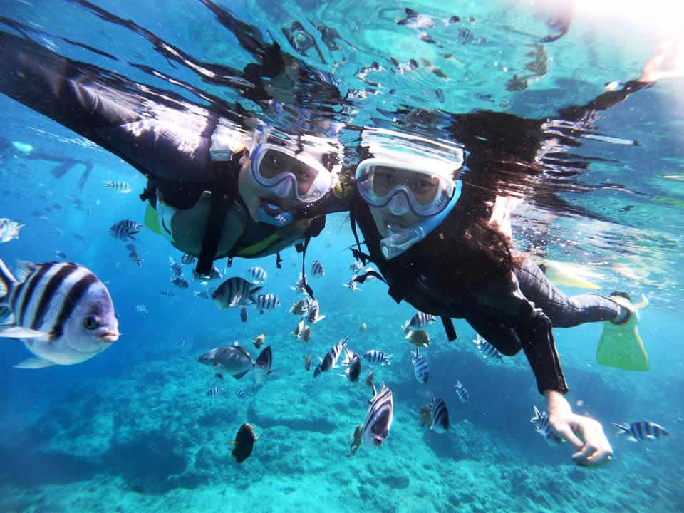 TâŁA̕ߊĂ܂ȈuԂ͂ƂɂyIʐ^BĖڈt̊C\