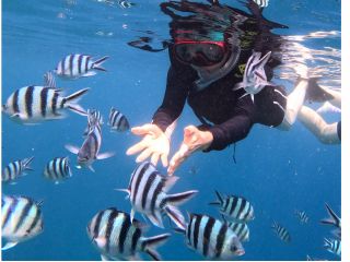 青の洞窟だけでなく、ニモにも会えるかも!?無料でお渡しする餌と共にスタッフが撮影を行います♪たくさんの綺麗な魚と共に思い出の写真を撮りましょう。