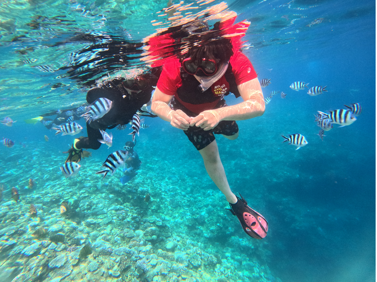 CO̗ԑgŐ̓A܂I p̐lC|\l3ɗĐ̓Ãj[̌Ă܂I