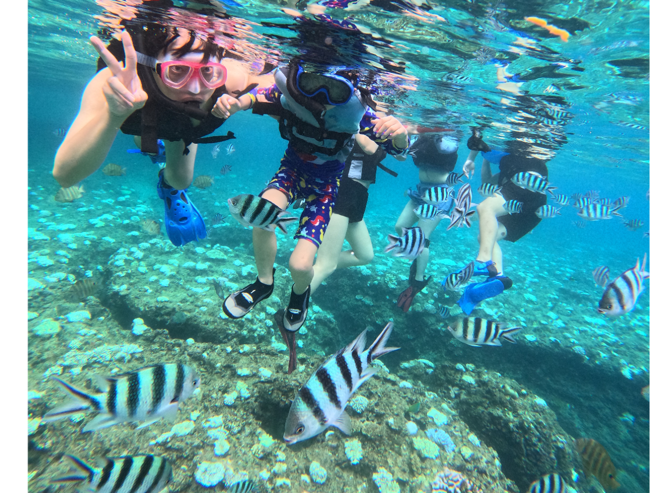 ܂悤ɁI SEMX^btΊŊF񂪂zɂȂ̂ł҂Ă܂I