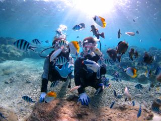 初心者の方でも安心していただけるように 青の洞窟屋のダイバーは経験豊富。10周年の歴史があります。沖縄で最高の思い出作りをお手伝いいたします!