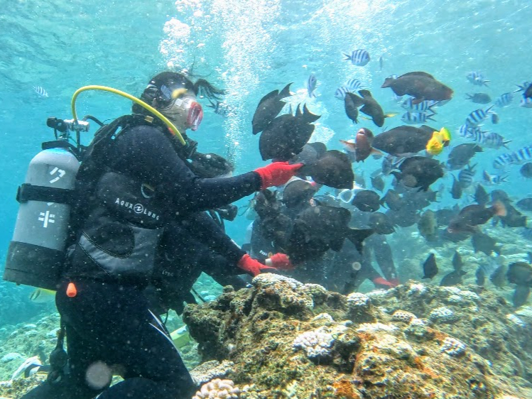 海景 少人数制】ドローン撮影・写真データに自信あり！日本最大級のサンゴ礁