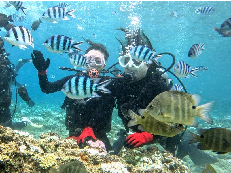 邭oLxȃX^btB ̊CɂڂA邭ČoLxȃX^btJɊyΉĂ܂B