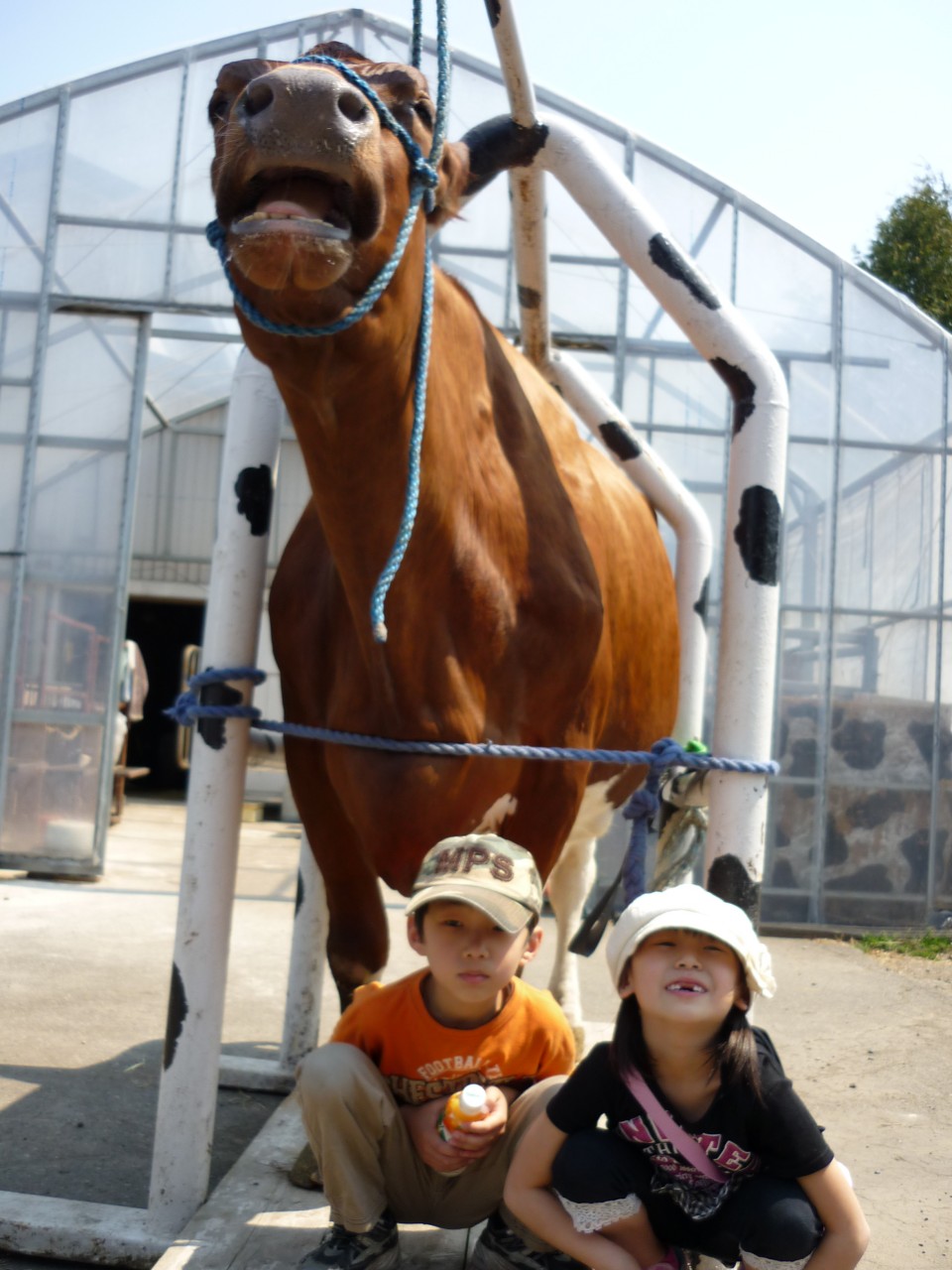 ƂȂȂ̂łȊŎʐ^BꂿႢ܂I