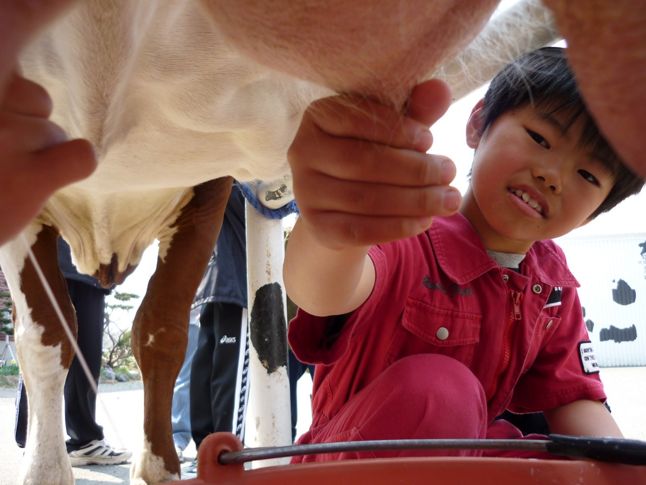 ^ȕ\œ`WI͏oĂ邩ȁH