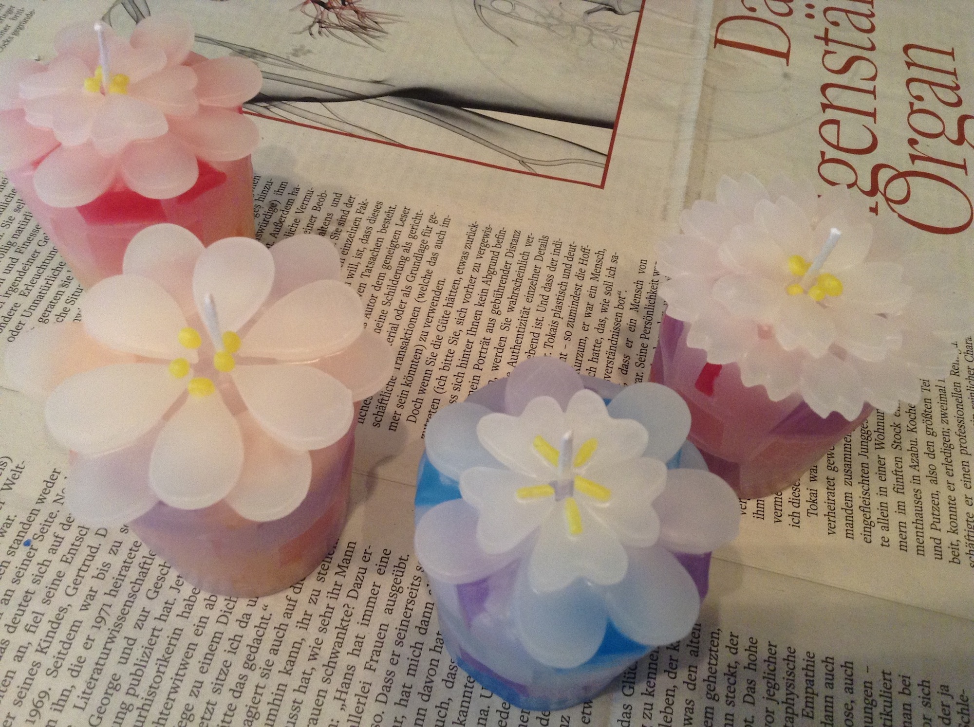 EɂP̃IWiLh̊IFmŎQƁAǂSRႤۂ̃LhɂȂ܂B