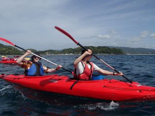 広い海を漕ぎ進む爽快感。1人乗りで自由に。2人乗りで楽しく息を合わせながら。海を体感していただけます。