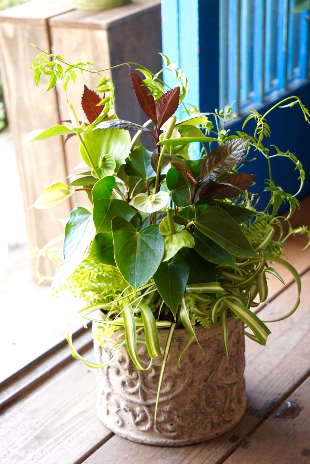 おまかせプランツ ギャザリング体験レッスン 新規対象者のレッスンとなります クーポンをご利用下さい 花スリール フラワーアレンジ田川教室 じゃらん遊び体験