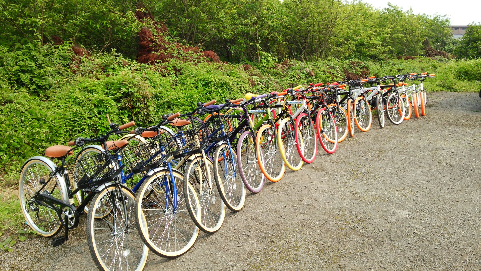 3ނ̎]Ԃ̒炨DȎԎIђ܂B