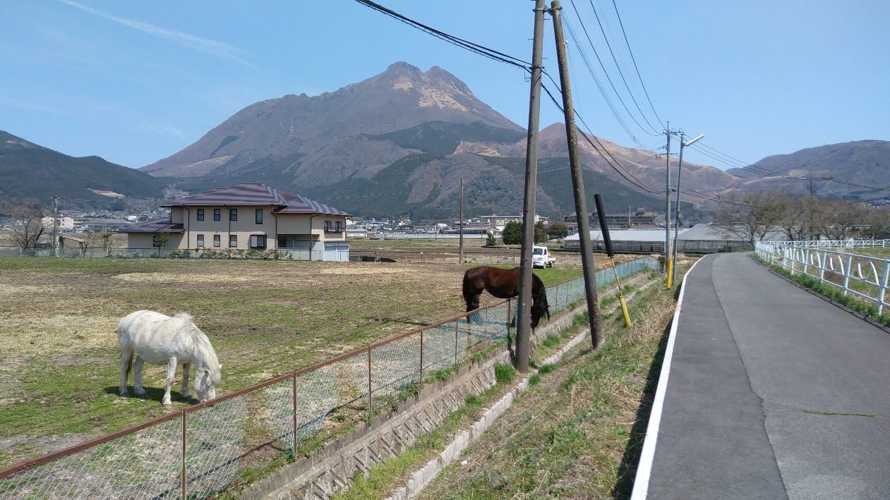 ]ԂŎU􂷂Ƃȏo܂B