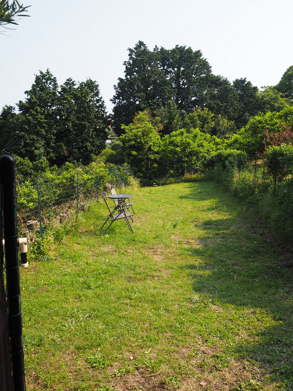 �~�j�h�b�N����