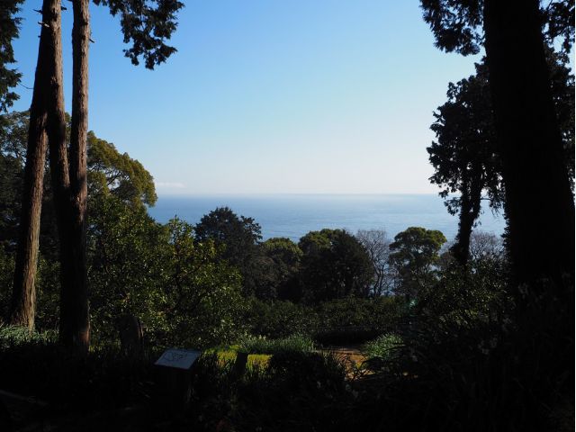 BBQ広場からの景色