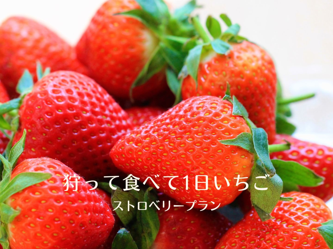 ���r�{�_���l�ł����������y�����