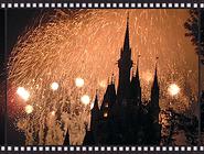 天候やシーズン等タイミングがよければ、花火がご覧頂けます◎※このプランは江戸川周遊コースです。各種花火会場には行けませんのでご留意ください。