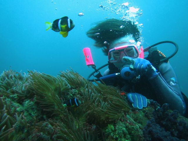 伊豆高原駅 車で5分 体験ダイビング 初心者向け 施設プールで練習ダイブ 海でダイブ の2ダイブ 自施設のプールで練習できるのは伊豆でも当店のみ ファミリー カップル 女性にオススメ ダイビング マリンゾロ じゃらん遊び体験 伊豆高原駅 車で5分 体験ダイビング 初心者向け 施設プールで練習ダイブ 海でダイブ の2ダイブ 自施設のプールで練習できるのは伊豆でも当店のみ ファミリー カップル 女性にオススメ ダイビング マリンゾロ じゃらん遊び体験