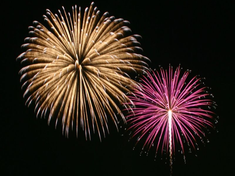 Ȟ́A~VKErAJ2ǓɊϏ܂ł܂B