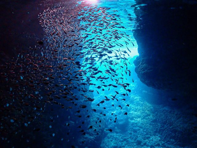 小さなお魚の群れと洞窟の青