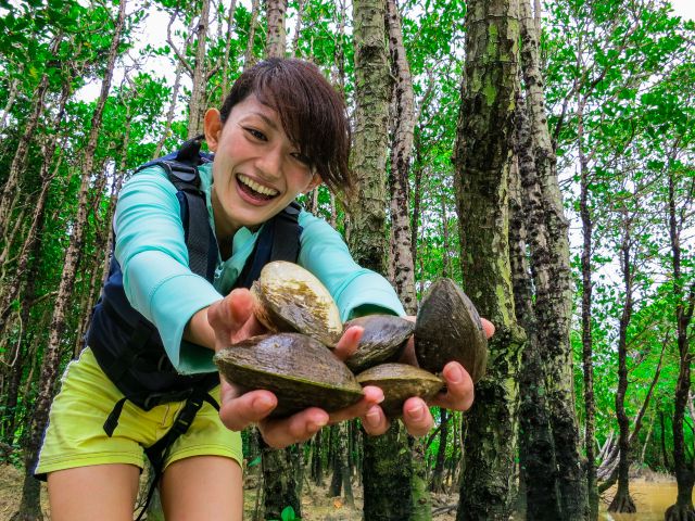 干潟にはたくさんの生き物