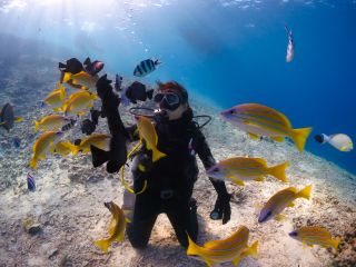 恩納村の美ら海で体験ダイビング