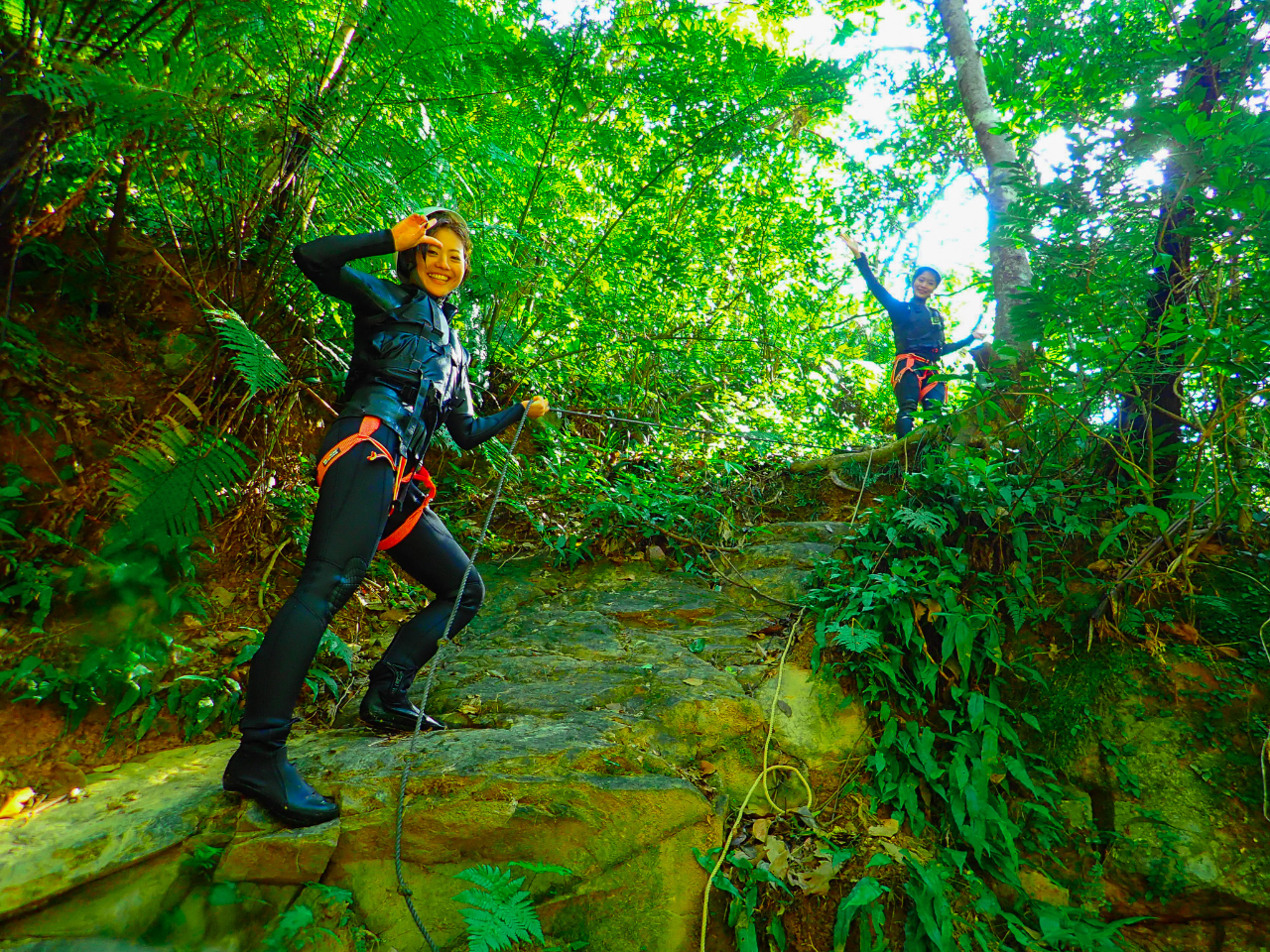 やんばるの亜熱帯の森を探検