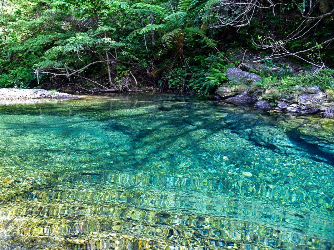 舞台は透き通る清流の川♪