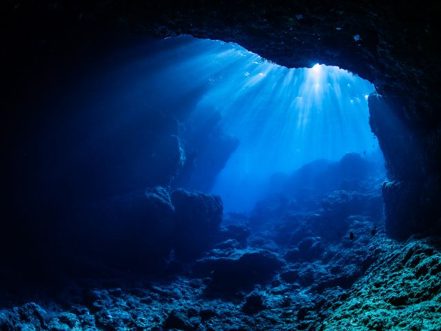 昨年10000名様以上ご参加の人気プラン!