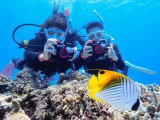 地域共通クーポン対象 那覇発 慶良間 体験ダイビング2本 シュノーケル 水中カメラ無料レンタルsd付 記念動画サービス 沖縄そば食べ放題 マリーンプロダクト じゃらん遊び体験
