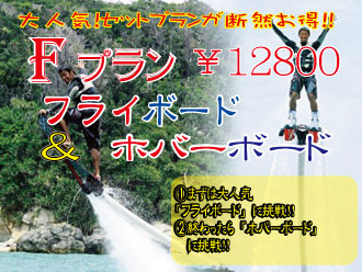 n[hȓ̃ANeBreBI̗͎͂̕В킵Ă݂ĂˁI