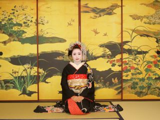 オリジナル襖:四季草花図での撮影