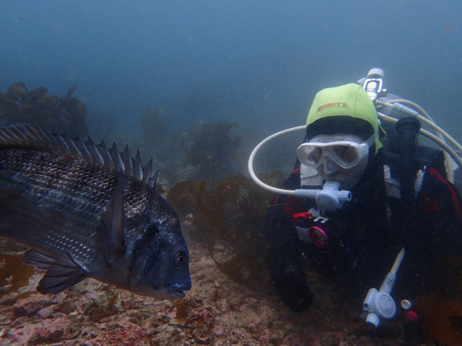 N_C}_CAJp`Ȃǂ̉Vɑ邱Ƃ܂