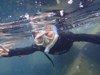 小学生でも海女さんが漁を行うような沖の海域でシュノーケリングができます