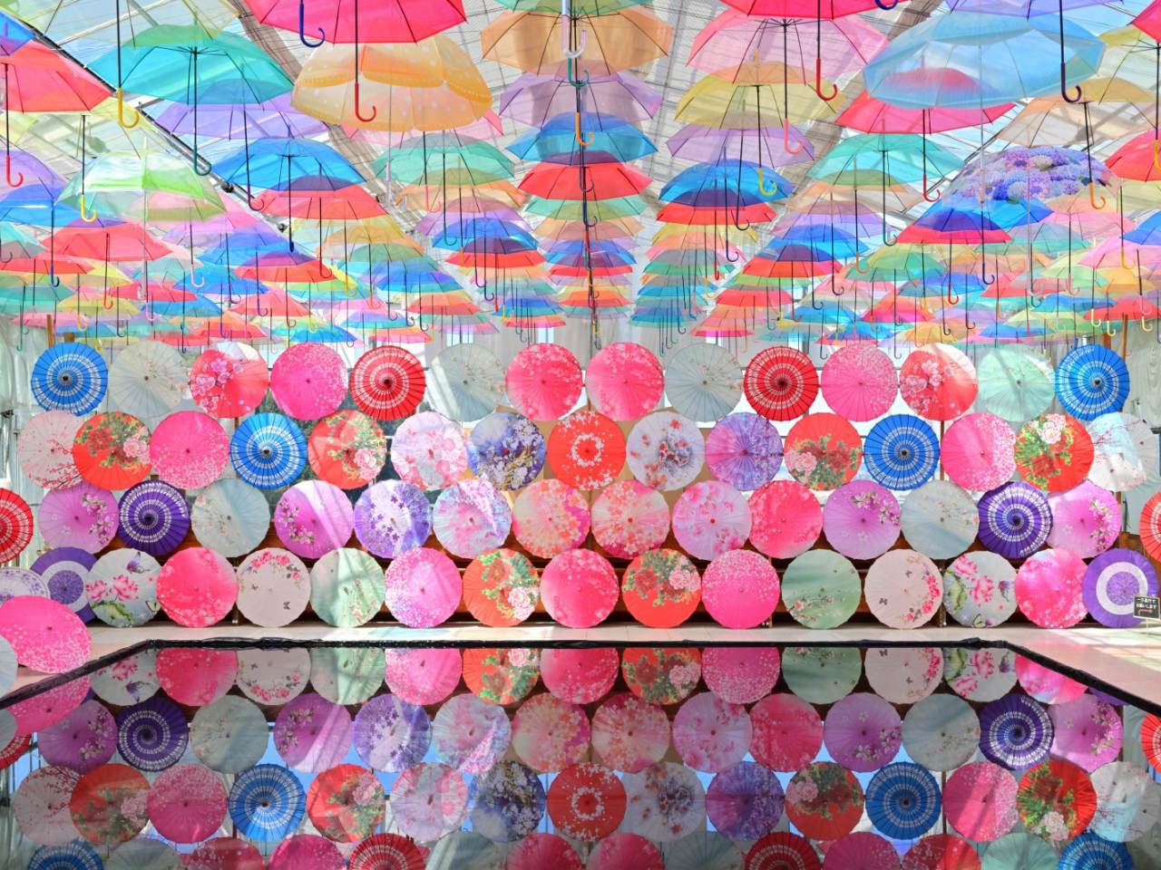 猪苗代ハーブ園のアンブレラスカイ