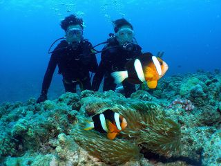 クマノミと一緒に記念撮影!!