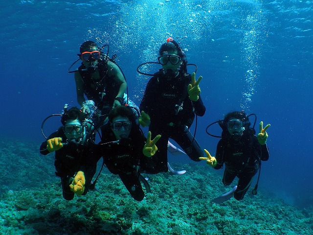 みんなで泳げば楽しさ倍増です。