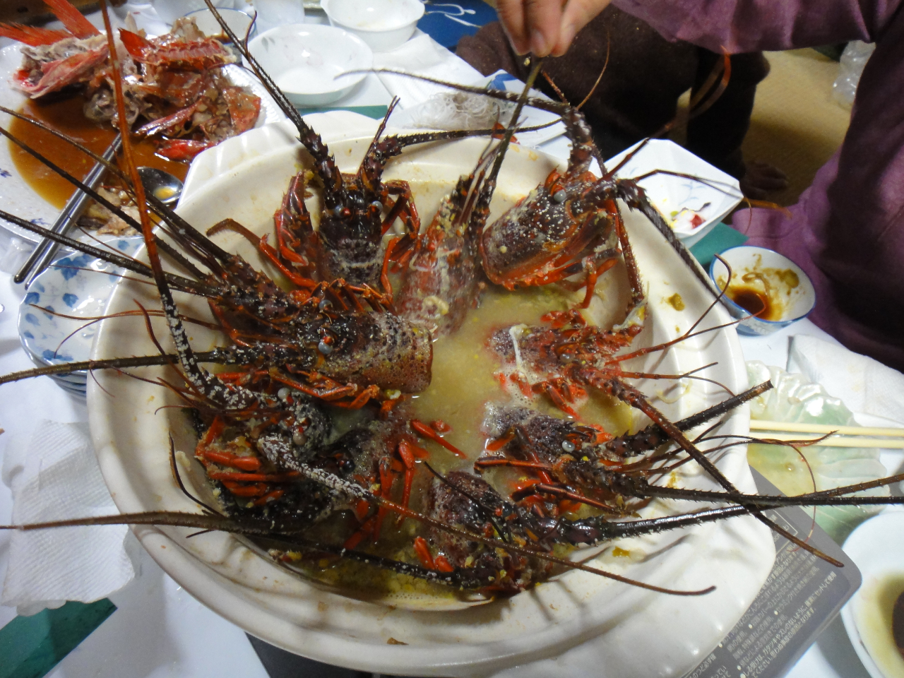 At^[_Cuɉ̂y߂̂ɓ̑̌_CrÔƂI