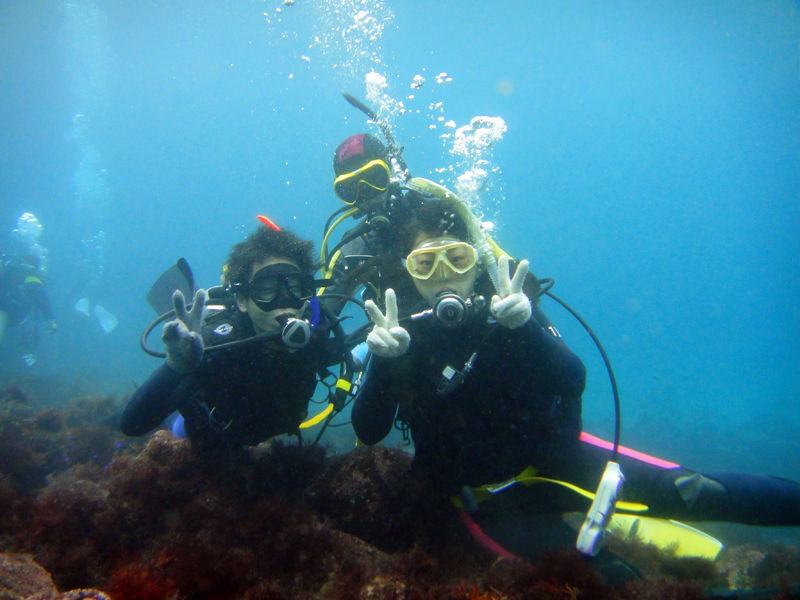 ƃCXgN^[bKĐ邩SĐ܂I2̂y݁I