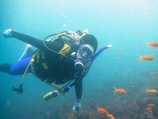 lACXgN^[ɌĂ炦BAƐ肽ȂႤ